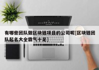 有哪些团队做区块链项目的公司呢[区块链团队起名大全霸气十足]